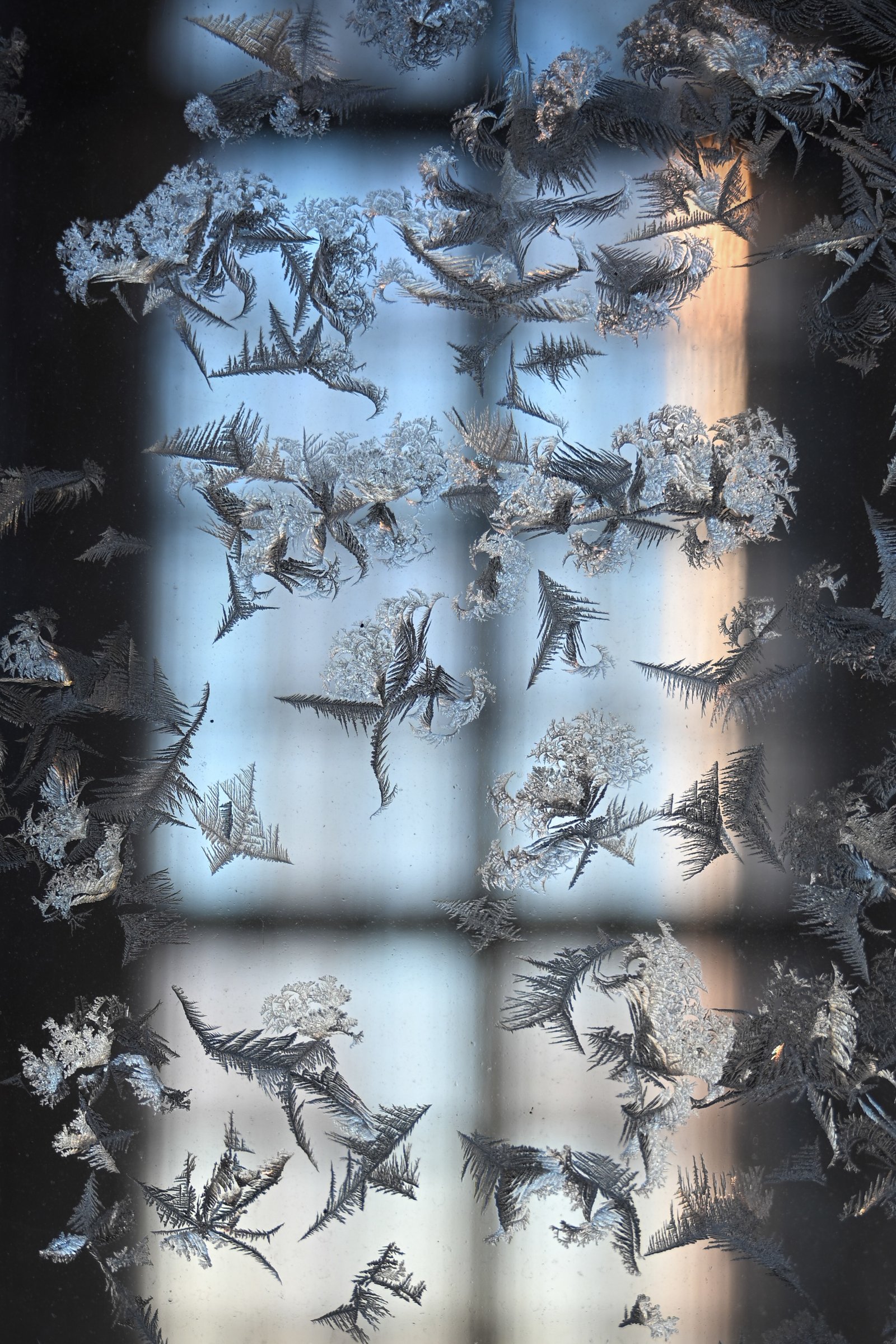 Frost crystallization on window glass